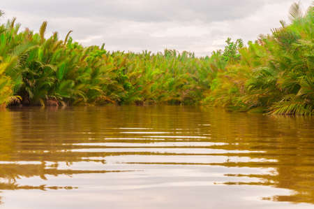 A low angle shot of a dirty lake surrounded by a green scenery under the cloudy sky