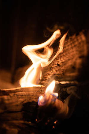 A closeup shot of burning firewood with flames for keeping the environment warm