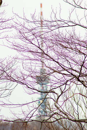A picture of TV and radio tower on the mountain Medvednica covered with tree branches in Zagrebのeditorial素材