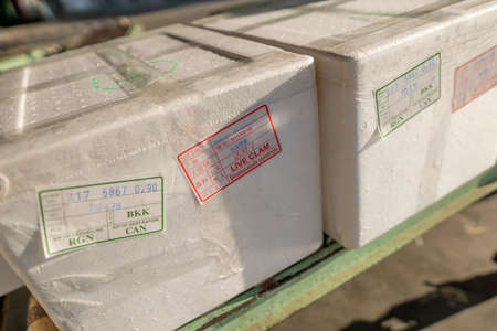 YANGON, MYANMAR (BURMA) - Sep 01, 2019: Live Clam shipped from Myanmar to China in a styrofoam box...