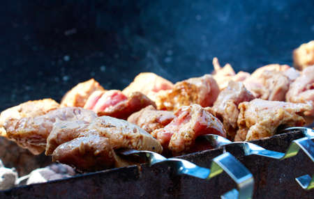 A shot of skewers with meat on a barbecue grill with a blurred backgroundの写真素材