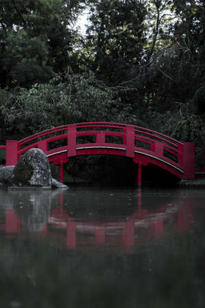 A little red bridge reflecting on the water in a forest covered in greenery under sunlight