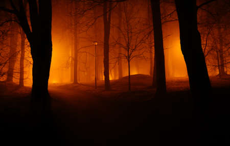 ToomemÃ¤gi park in Tartu, Estonia on a golden foggy night