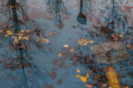 A high angle shot of the dry autumn leaves fallen into the blue waterの写真素材