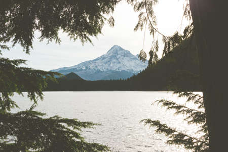 A high angle shot of a lake with a forest on the shore and a snowy peak in the background