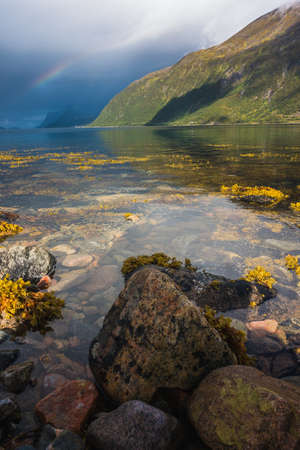 A vertical shot of the mossy stones in the transparent water of the lake and a rainbow in the skyの写真素材