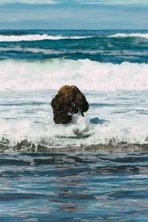 A vertical shot of a mossy rock formation in the foamy ocean