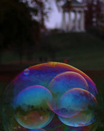 A closeup of soap bubbles in a garden with greenery and a building on a blurry backgroundの写真素材