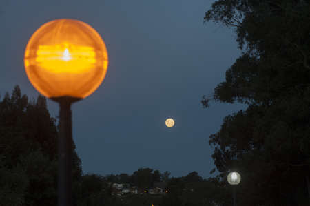 A full moon during the evening above a park surrounded by lamps and buildings