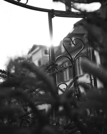 A vertical greyscale shot of a metal gate in front of a building