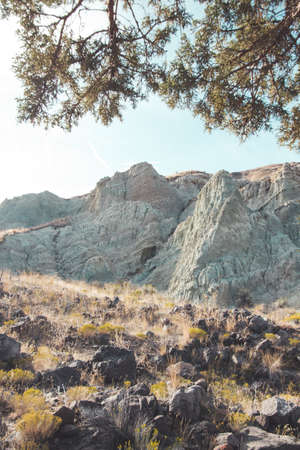 A landscape of rocks surrounded by greenery and stones under sunlight during daytime