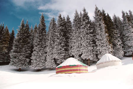 The two yurts in the forest with tall pine trees covered with snow in winterの写真素材