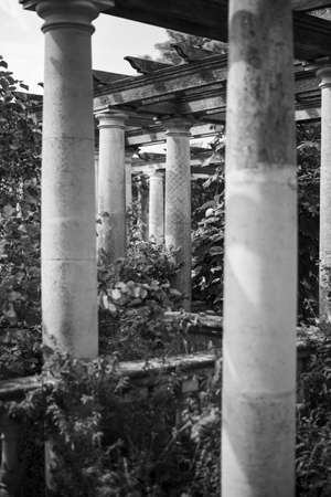 Monochrome colonnade surrounded by trees and bushes