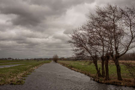 A river surrounded by greenery and bare trees under a cloudy sky in the eveningの写真素材