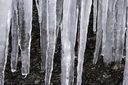 A closeup shot of beautiful icicles on the treesの写真素材