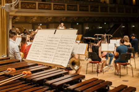 A selective focus shot of notes for the musician