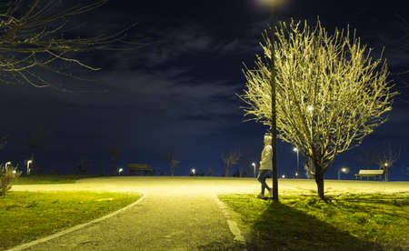 A person standing in the park during a beautiful calm eveningの写真素材