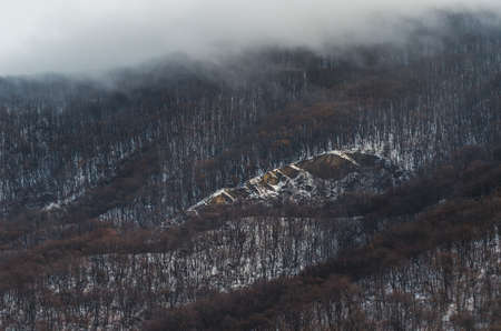 A high angle shot of the forest in the hills covered with snow and the fog aboveの写真素材