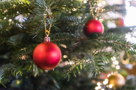 A selective focus shot of beautiful red ornaments on a Christmas tree