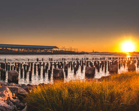 A beautiful view of a grassy field near the sea at sunsetの写真素材