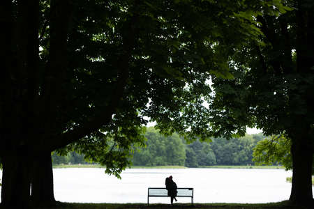 A person sitting at the lake under the shade of beautiful old trees in a park