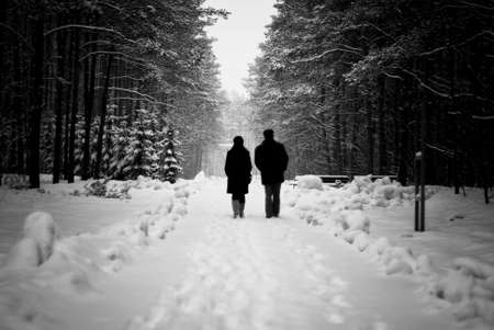Two people walking on a snow covered pathway surrounded by snow covered treesの写真素材