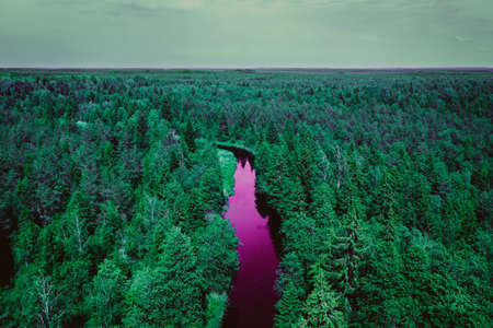 An aerial shot of a purple river flowing in a forest with a lot of green trees - great for a natural...