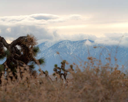 A beautiful scenery of the white mountains blending in with the fluffy cloudsの写真素材