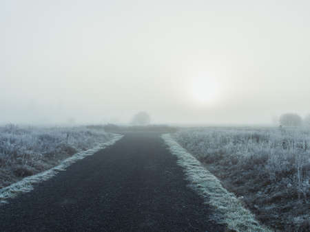 A road surrounded by grass and trees covered in the snow and fog under sunlightの写真素材