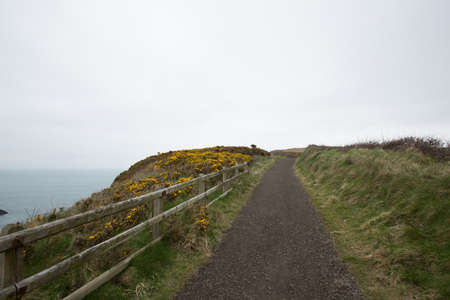 A high angle shot of a road on the hills on the shore of the sea in Ireland