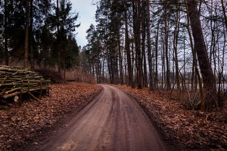 A pathway at the lake in the middle of the autumn forest