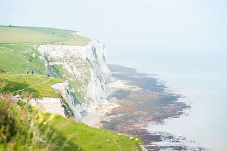 The green cliffs at the shore of the ocean on a bright summer dayの写真素材