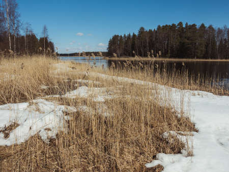 A river surrounded by forests and dry grass covered in the snow under a blue skyの写真素材