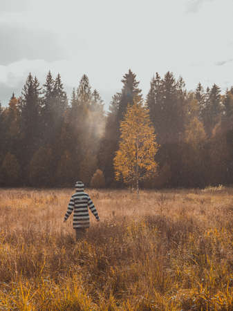 A vertical shot of a child walking in the valley with dry grass near the forest - childhood in the countryside conceptの写真素材