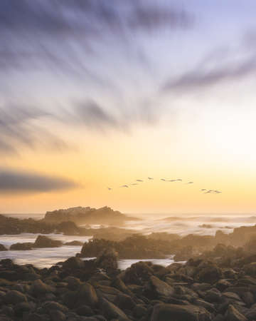 A vertical shot of a scenic view of the shore of a sea during sunset and a flock of birds flying in...