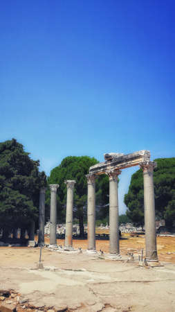 A vertical shot of old columns in the middle of a field