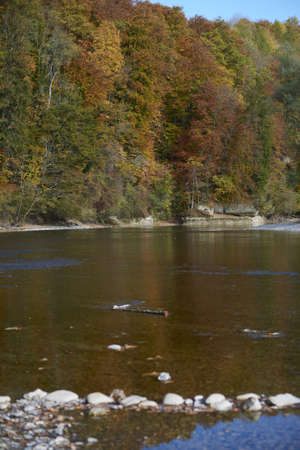 A vertical picture of a dirty lake surrounded by stones and forests during autumn