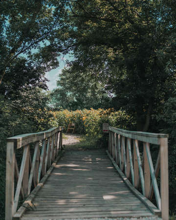 A wooden bridge in a garden surrounded by trees and flowers under sunlightの写真素材
