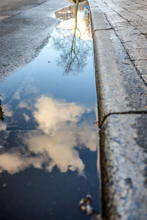 A low angle view of the sky and trees reflecting on the water on the roadの写真素材
