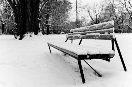 A greyscale shot of a bench covered with snow in the park in winter