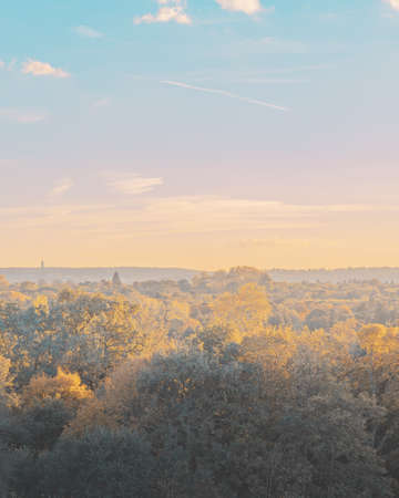 A vertical high angle shot of the beautiful forest captured at day time