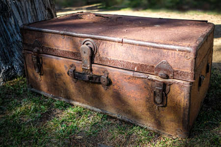 An old vintage box under a shade in the middle of the forestの写真素材