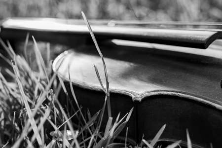 A greyscale closeup of a violin laying on a dry grass with a blurry backgroundの写真素材