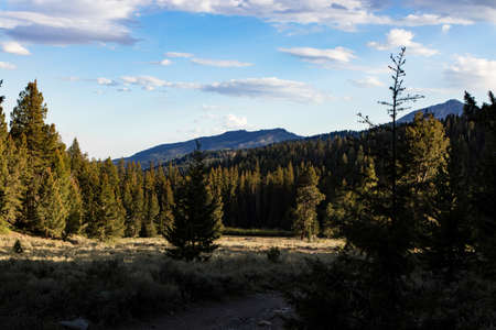 A field covered in greenery surrounded by mountains and forests under a blue sky and sunlightの写真素材