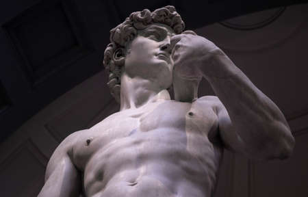 A low angle view of Michelangelo's David in the Gallery of the Academy of Florenceのeditorial素材
