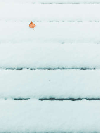A dry red leaf on the ground covered in the snow under sunlight - a nice picture for backgroundsの写真素材