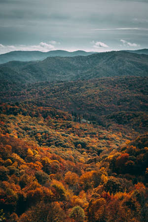 A vertical shot of a colorful autumn forest in the middle of a mountainous sceneryの写真素材