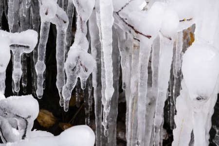 A closeup shot of beautiful icicles on the treesの写真素材