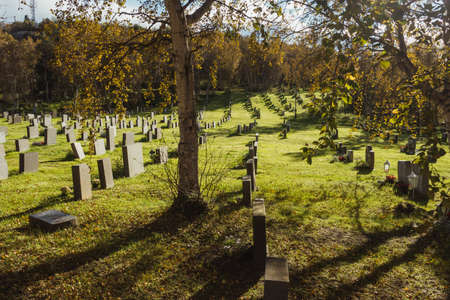 A high angle shot of a small cemetery near the forest on a sunny day