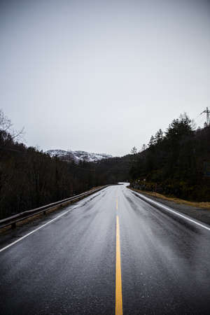 A vertical shot of a wet rainy road crossing a forest